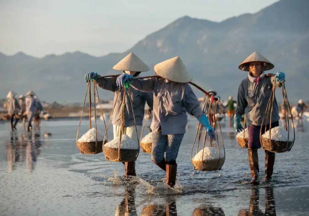 cánh đồng muối hòn khói