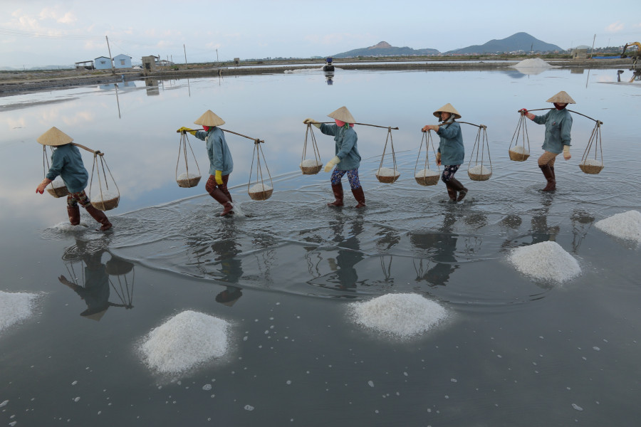 cánh đồng muối hòn khói