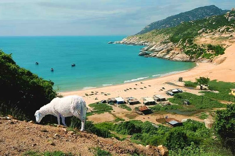 thuê xe du lịch đi Ninh Thuận